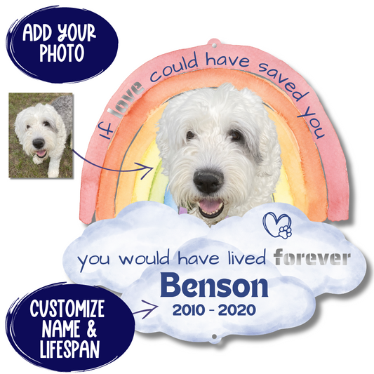 Custom Rainbow Bridge Pet Loss Memorial Color Infused Metal Wall Art