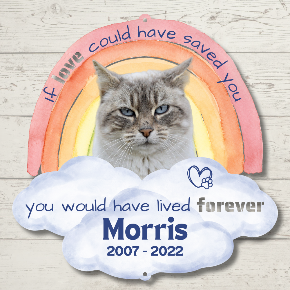 Custom Rainbow Bridge Pet Loss Memorial Color Infused Metal Wall Art