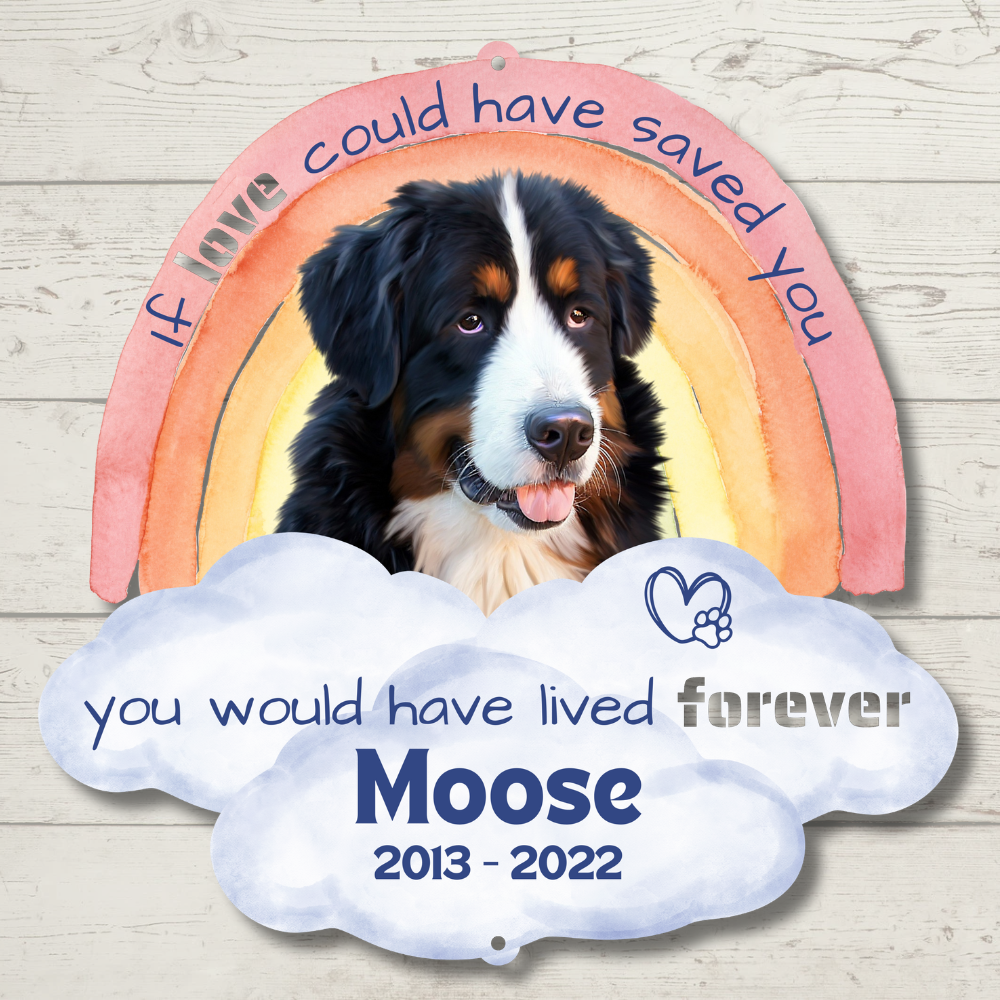 Custom Rainbow Bridge Pet Loss Memorial Color Infused Metal Wall Art