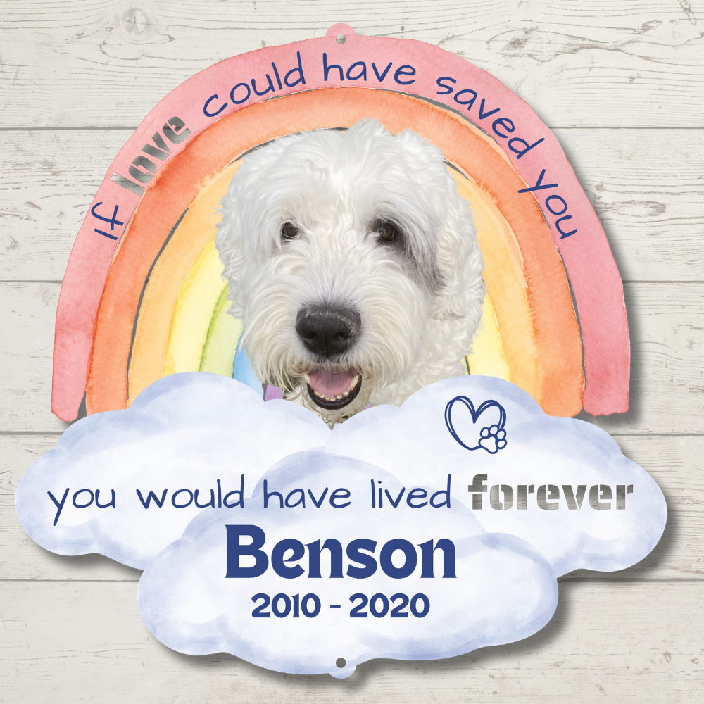 Custom Rainbow Bridge Pet Loss Memorial Color Infused Metal Wall Art