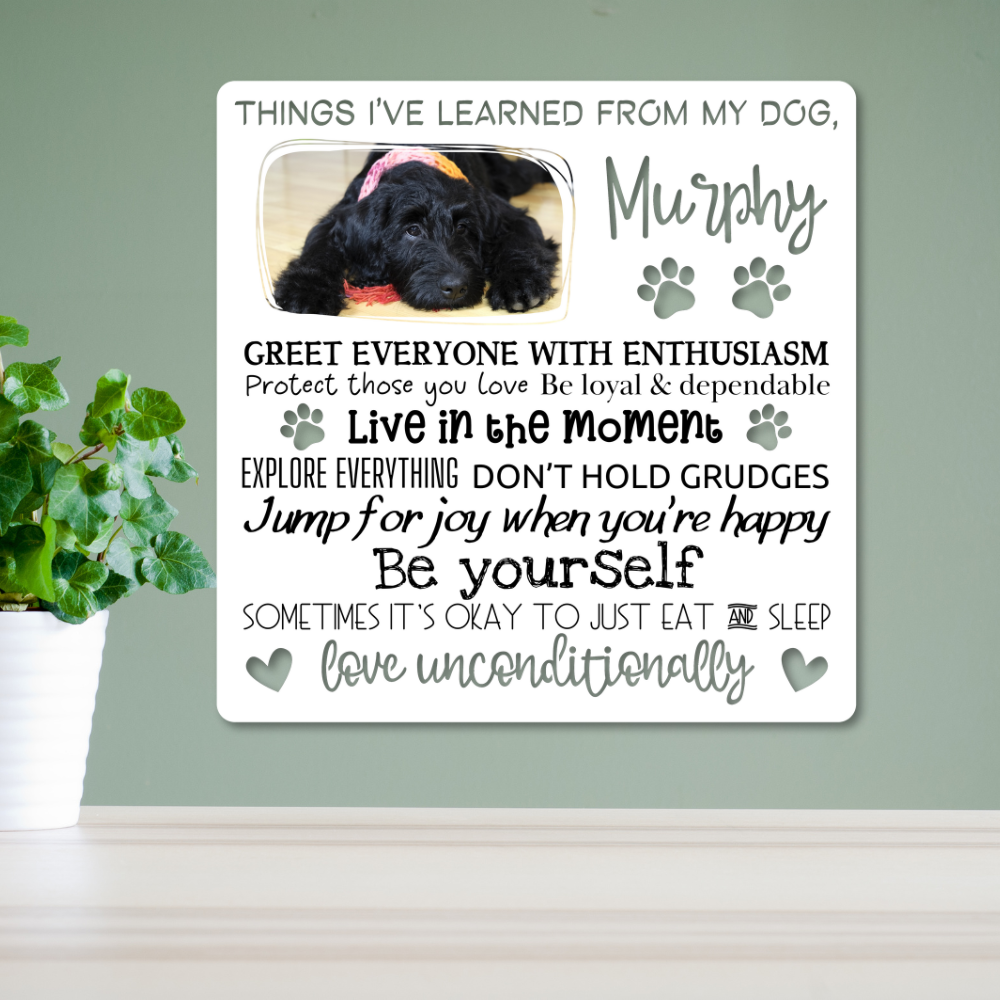 Custom "Things I've Learned from My Dog" Color-Infused Die-Cut Metal Wall Art