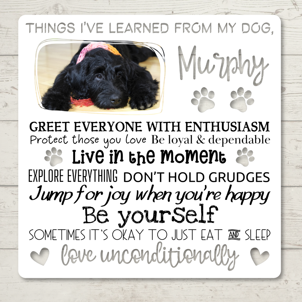 Custom "Things I've Learned from My Dog" Color-Infused Die-Cut Metal Wall Art