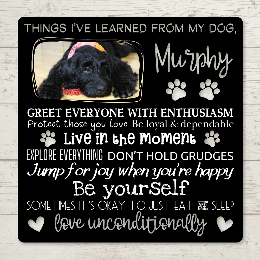 Custom "Things I've Learned from My Dog" Color-Infused Die-Cut Metal Wall Art