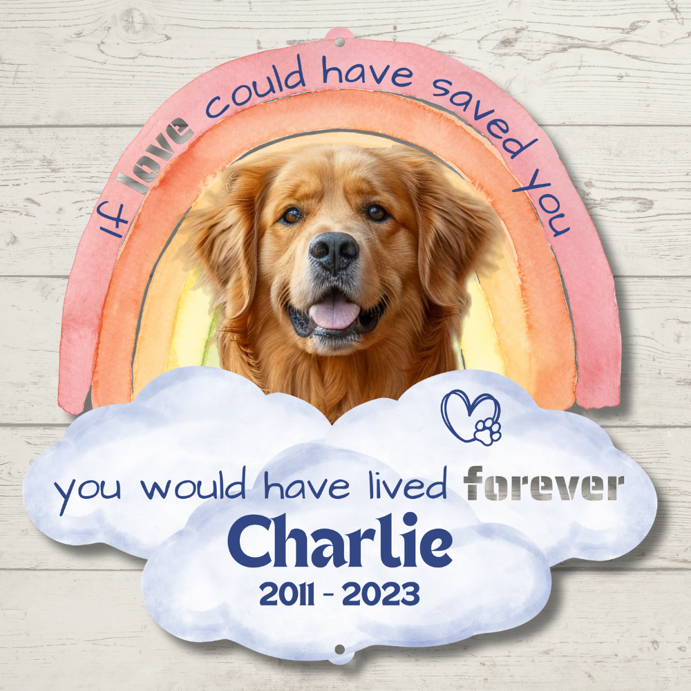 Custom Rainbow Bridge Pet Loss Memorial Color Infused Metal Wall Art