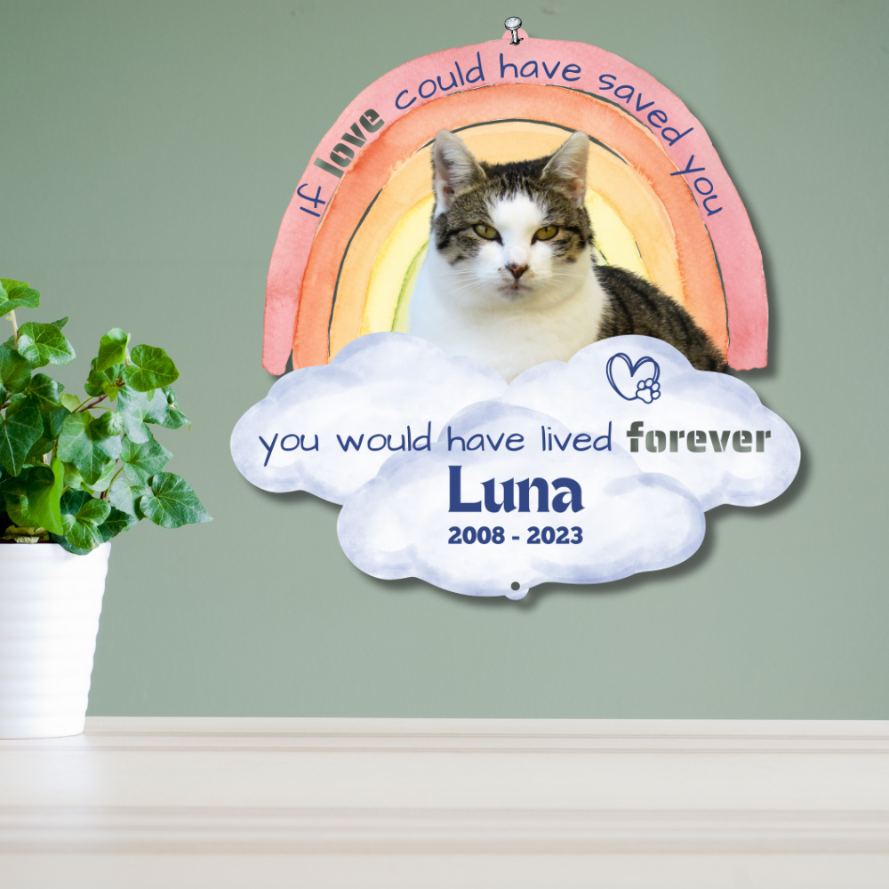 Custom Rainbow Bridge Pet Loss Memorial Color Infused Metal Wall Art